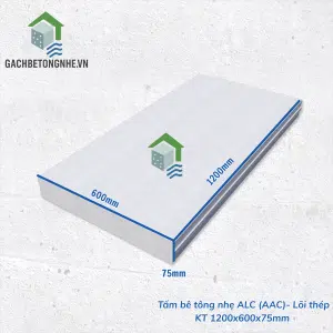 Tấm PANEL 1200x600x75mm - 1 lưới thép