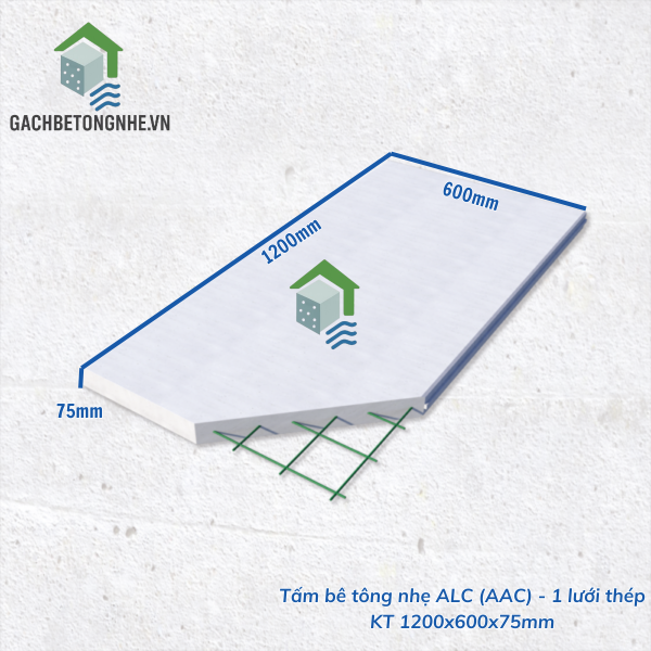 Tấm PANEL 1200x600x75mm - 1 lưới thép - Hình ảnh 2