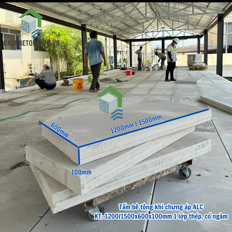 Tấm ALC 1500x600x100mm - 1 lưới thép