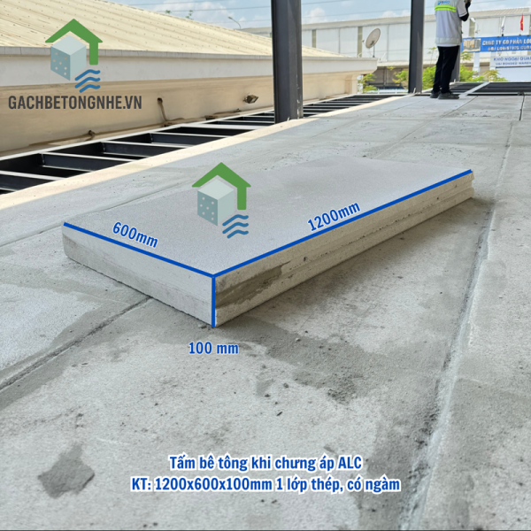Tấm AAC 1200x600x100mm - 1 lưới thép - Hình ảnh 3