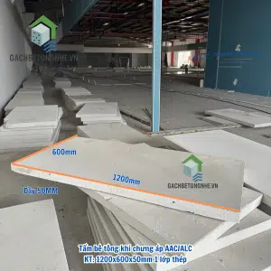 Tấm ALC 1200x600x50mm